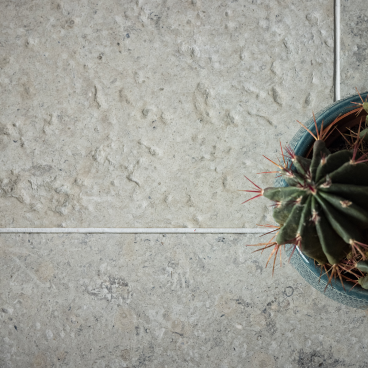 Wapień - Płytki kamienne szare wapienne matowe postarzane antykowane klasyczne vintage tarasowe na zewnątrz rustykalne do kuchni łazienki salonu holu restauracji hotelu Limestone kalksteinfliese naturstein antik naturstein vápencovádlažba Nordisk Storm Raw Antique Mia Urbo Stone Hurtownia Kamienia Warszawa Lodz Gdansk Krakow Wrocław Katowice Szczecin