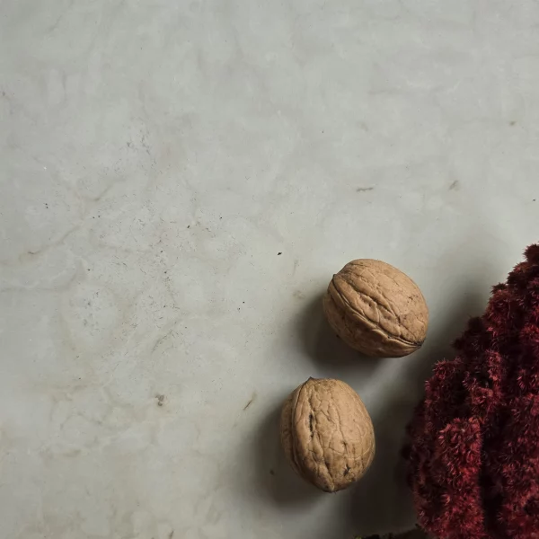 Wapień - Płytki kamienne szare wapienne matowe elewacyjne na ścianę podłogę kamień tarasowy na zewnątrz do kuchni łazienki salonu holu restauracji hotelu Limestone kalksteinfliese naturstein vápencovádlažba Öpärla Mix Mia Urbo Stone Hurtownia Kamienia Warszawa Lódź Gdańsk Kraków Wrocław Katowice Szczecin Poznań