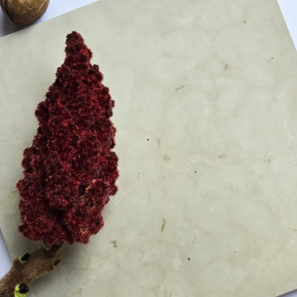 Wapień - Płytki kamienne szare wapienne matowe elewacyjne na ścianę podłogę kamień tarasowy na zewnątrz do kuchni łazienki salonu holu restauracji hotelu Limestone kalksteinfliese naturstein vápencovádlažba Öpärla Mix Mia Urbo Stone Hurtownia Kamienia Warszawa Lódź Gdańsk Kraków Wrocław Katowice Szczecin Poznań