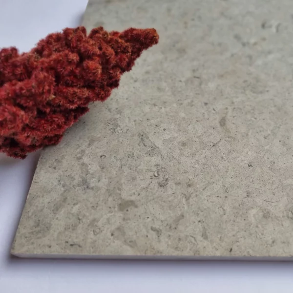 Wapień - Płytki kamienne szare wapienne matowe elewacyjne na ścianę podłogę kamień tarasowy na zewnątrz do kuchni łazienki salonu holu restauracji hotelu Limestone kalksteinfliese naturstein vápencovádlažba Nordisk Storm Mia Urbo Stone Hurtownia Kamienia Warszawa Lódź Gdańsk Kraków Wrocław Katowice Szczecin Poznań